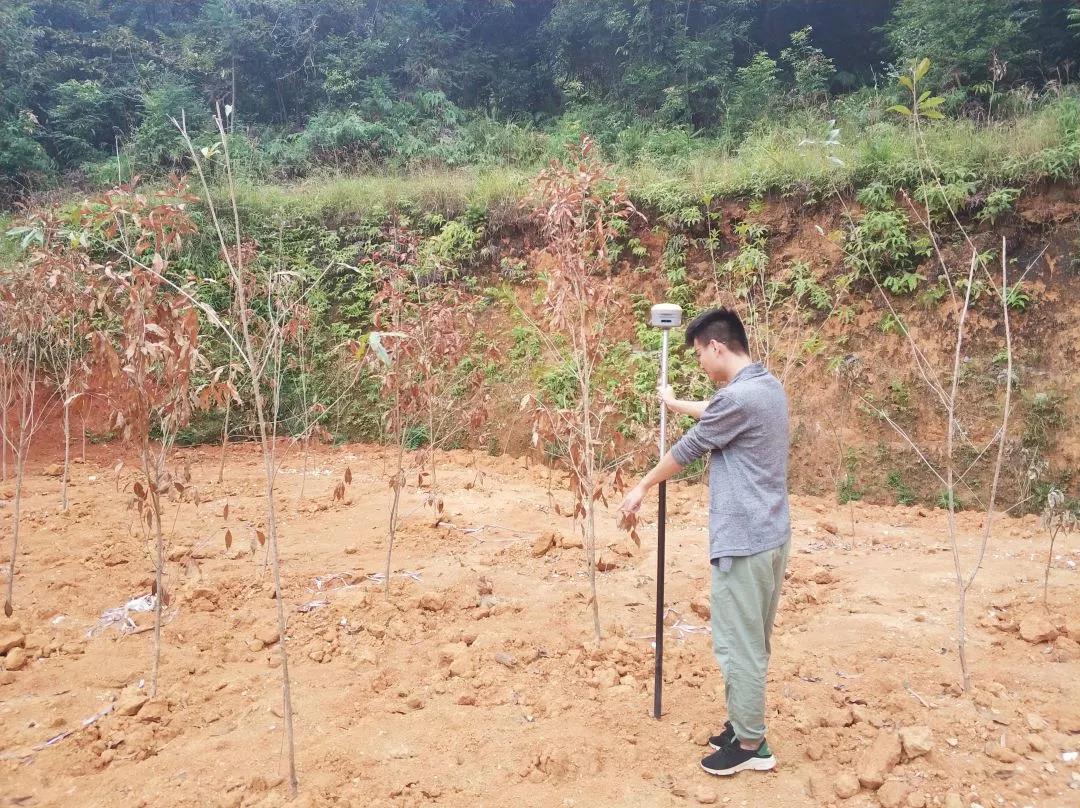 土地妄想部项目纪实丨尊龙凯时人生就是搏人，，助力荒地变桑田！