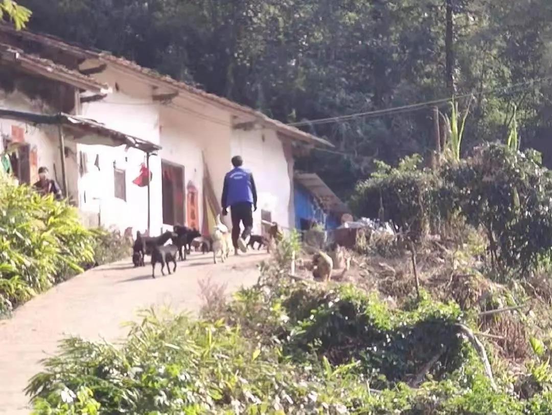 阳春房地一体项目纪实丨无悔青春多砥砺，，，，，，最是奋斗感人心