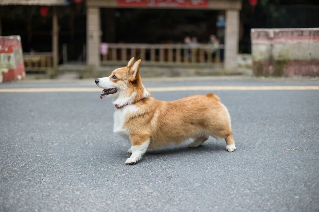 再见，，，，，我的老朋侪