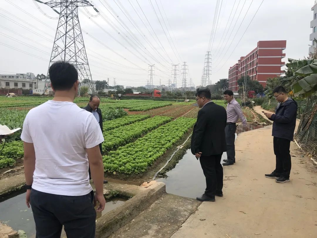 助力墟落振兴，，，，尊龙凯时人生就是搏一直在起劲！