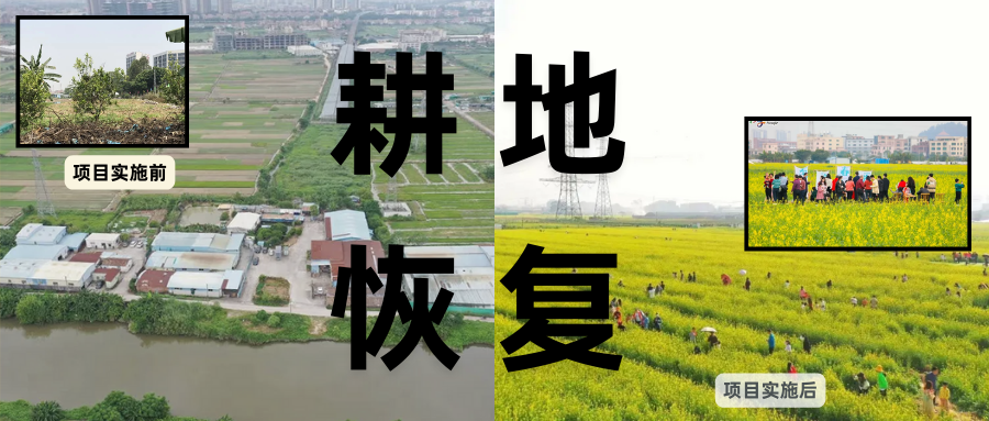 耕地；；；；；び刖蒙す踩凇甘泻窠终蛩谏缜读继锵钅扛鼗指从氤窍缛诤系牧⒁焓导